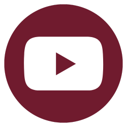 Youtube Icon